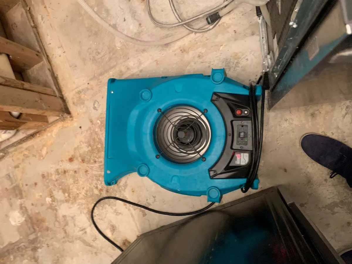 Air mover drying equipment for Mold Remediation & Removal in Palm Coast