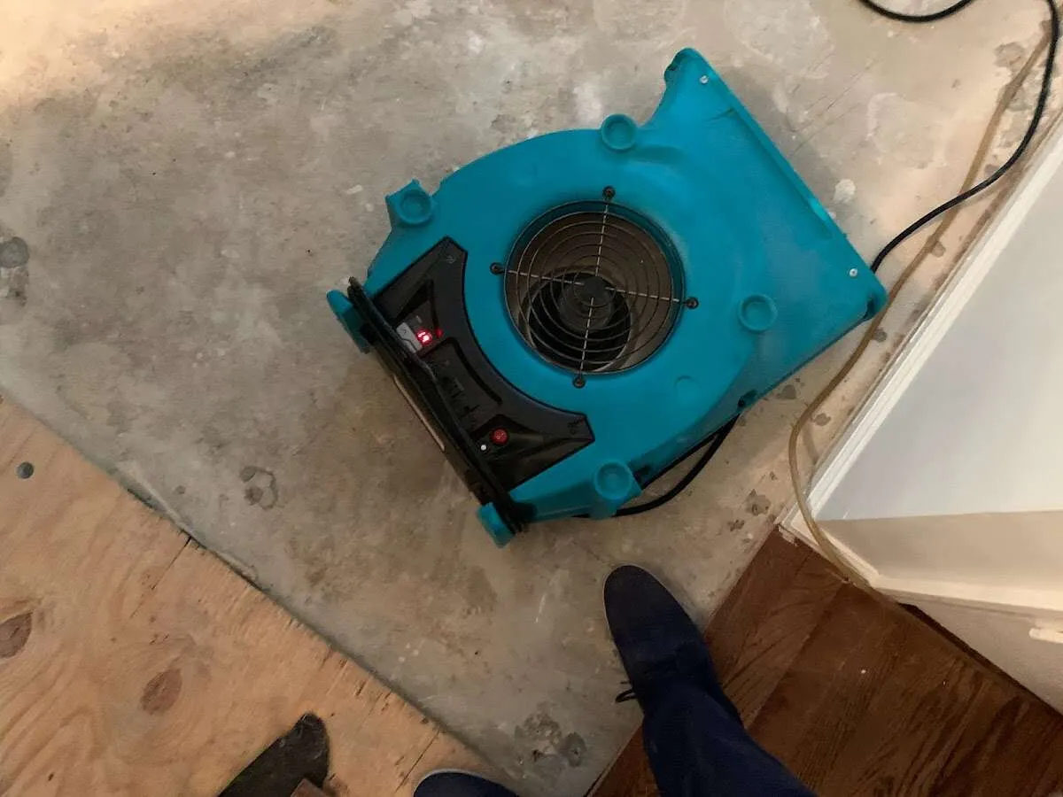 Air mover drying subfloor during Commercial Water Damage Restoration in Palm Coast